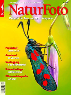 NaturFoto 4/2010